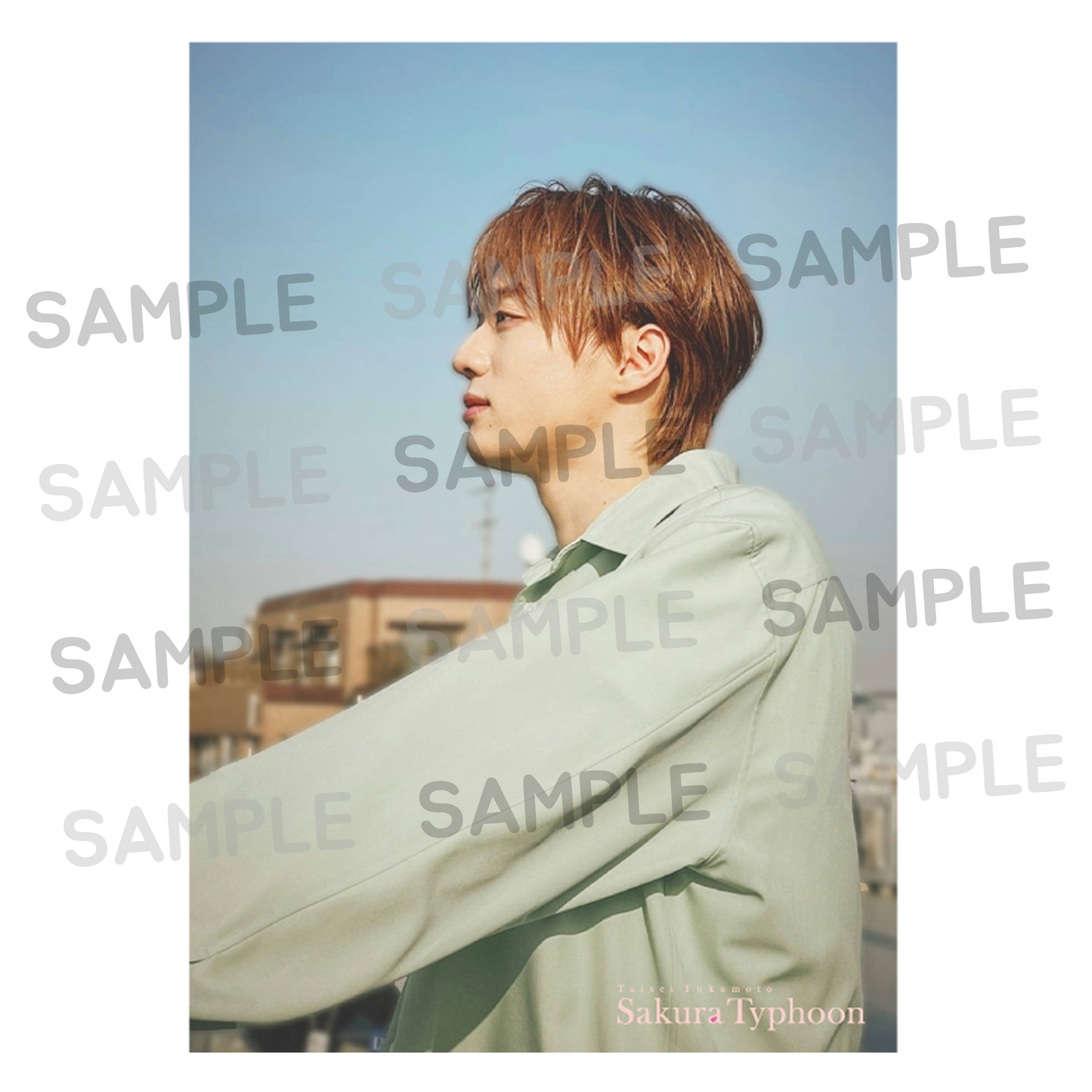 【受注販売】MV「Sakura Typhoon」Photo1